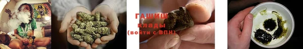 соль ск Ветлуга
