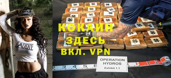 прущие грибы Абинск