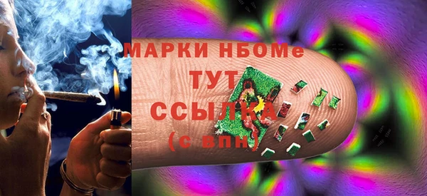 прущие грибы Абинск
