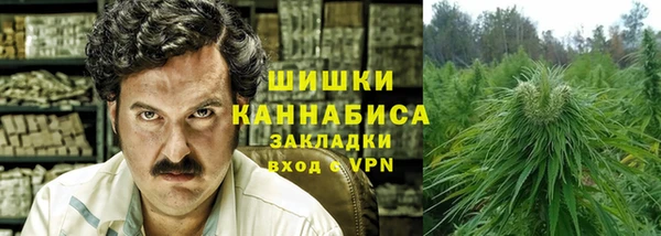 apvp Алзамай