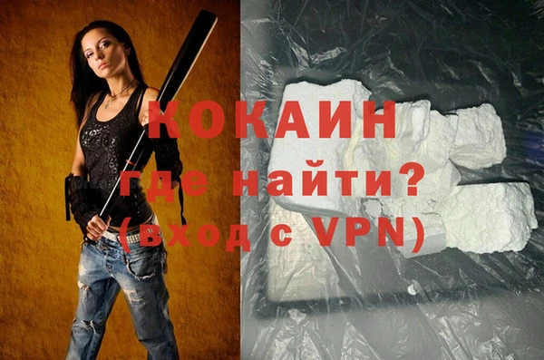 apvp Алзамай