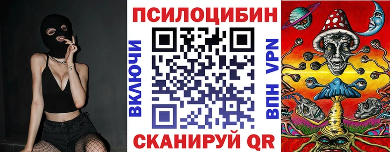 Псилоцибиновые грибы Magic Shrooms  OMG онион  Судогда  закладки 